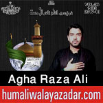 http://www.humaliwalayazadar.com/2017/01/agha-raza-ali-nohay-2013-to-2018.html