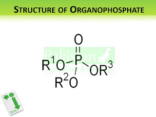 Structure of Organophosphates