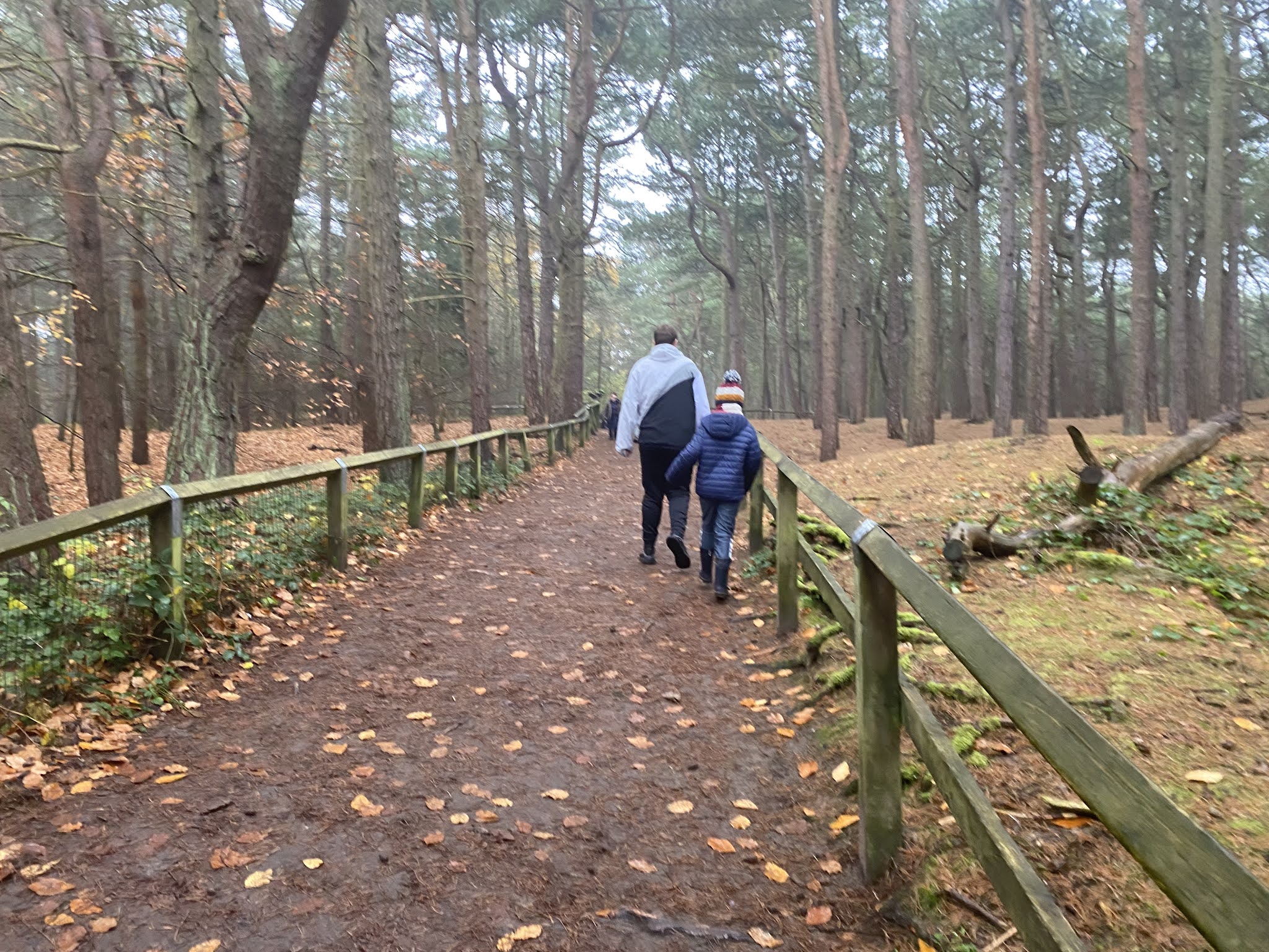 boys walking through the woods