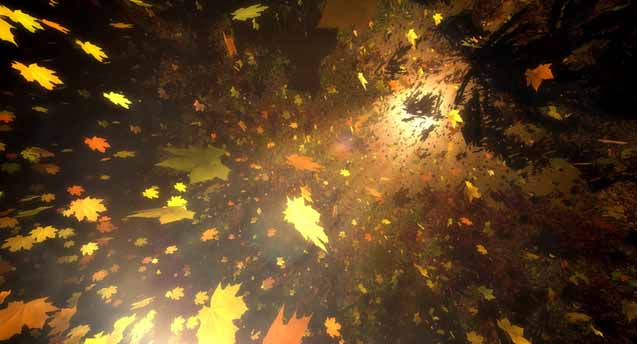 Sun & Leaves Wallpaper Engine