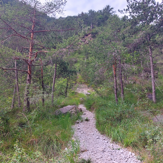 sentiero delle farfalle monte bestone