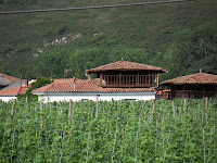 vega del Narcea a la altura de Láneo