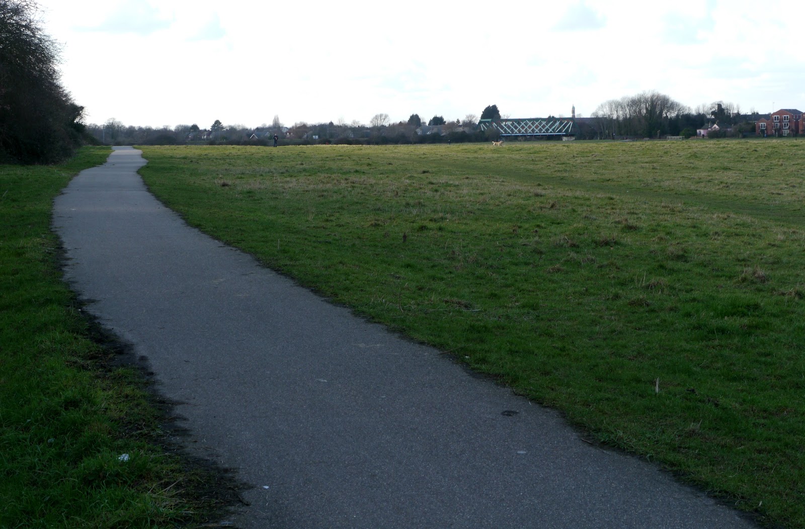 P1050130.JPG