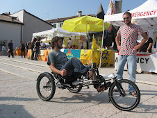 Recumbnet Hase Kettwiesel