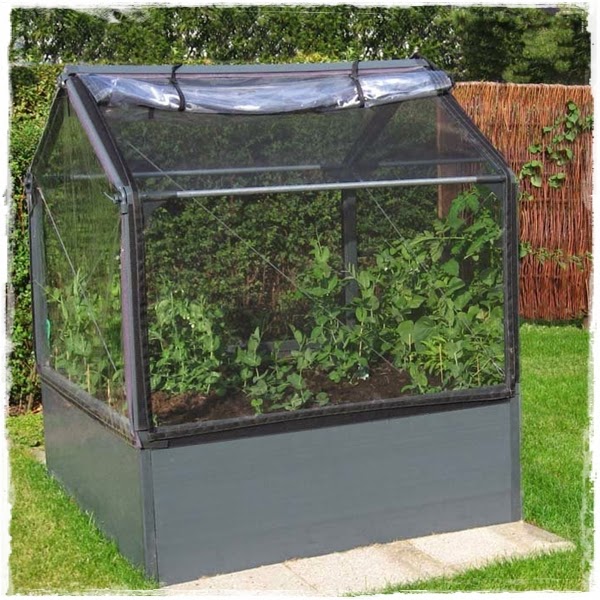 <img src="mini greenhouse6.jpg" alt="mini green house">