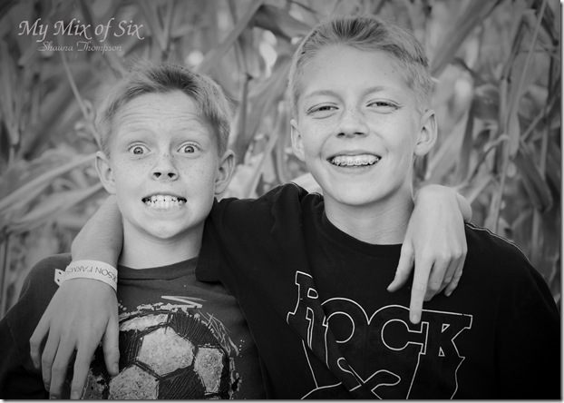 Pumpkin Patch33