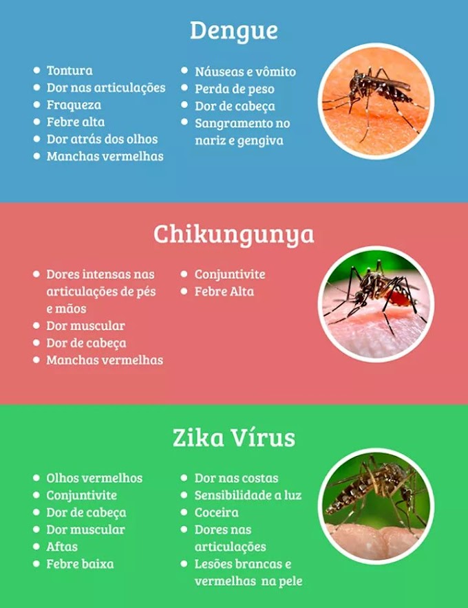 Epidemia de microcefalia: Emergência de Saúde Pública de interesse nacional