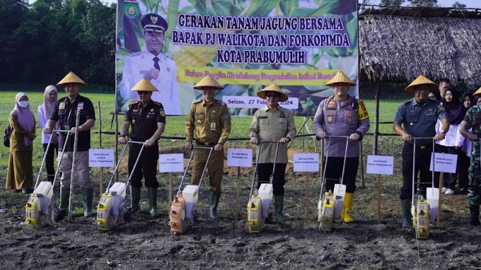 GERAKAN TANAM JAGUNG