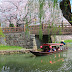 Omihachiman & Azuchi Castle Ruins