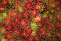 rambutans