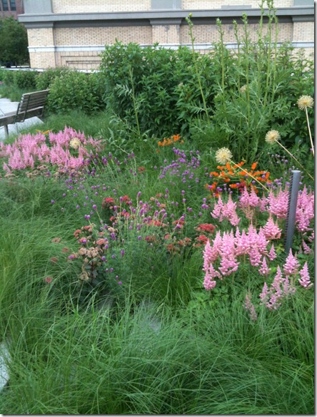 photo-8