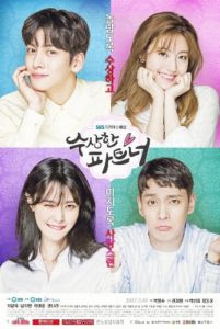 Drama Korea Suspicious Partner Subtitle Indonesia