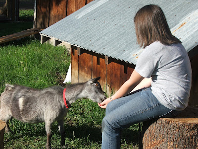 Idaho Small Goat Garden: Rescue Goats