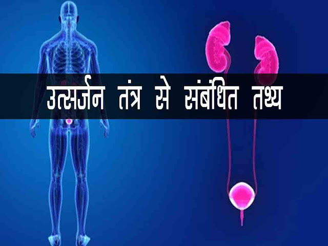 उत्सर्जन तन्त्र से सम्बन्धित महत्वपूर्ण तथ्य | Excreation Important  Fact in Hindi