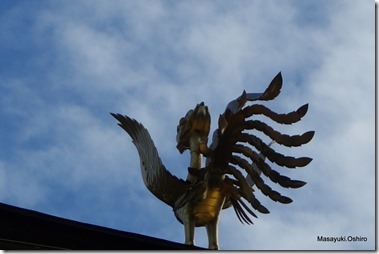232-DSC07267