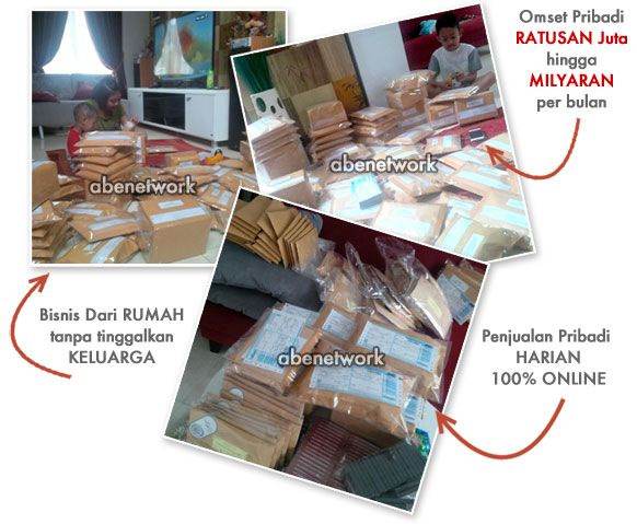 PELUANG BISNIS DROPSHIPPING