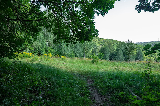 Анкудиновский лесопарк, Лысая гора