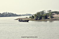 Sundarban National Park