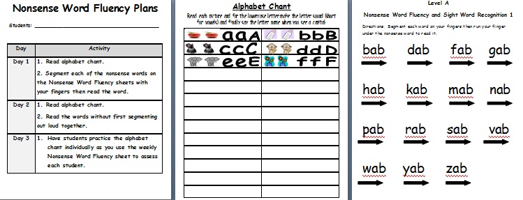 LaSota's Little Learners: Sight Word and Nonsense Word RTI (binder part 2!)