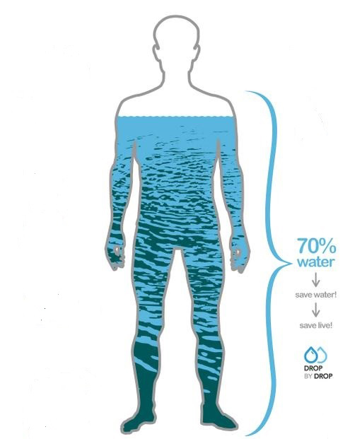 We are about 70 percent water