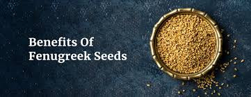 Unlocking the Health Benefits of Fenugreek Seeds: A Natural Superfood Unlocking the Health Benefits of Fenugreek Seeds: A Natural Superfood