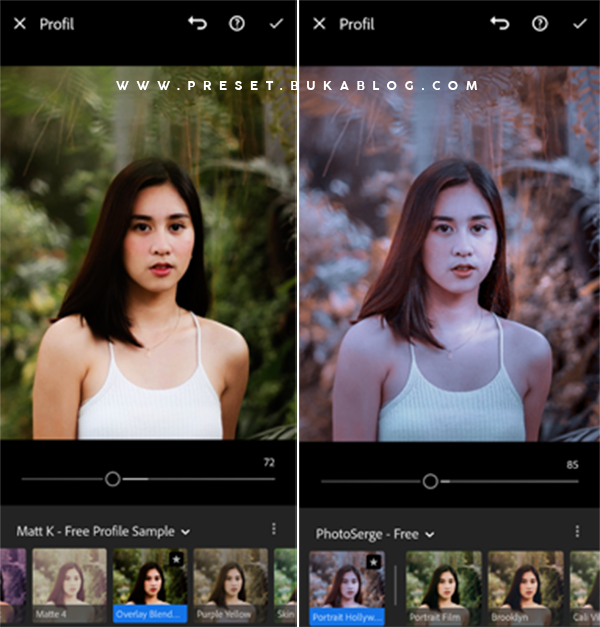 Easy Setting Lightroom Profile in CC Mobile