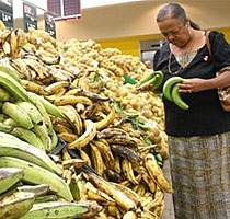 AGRICULTURA ASEGURA PLATANOS BAJAN DE PRECIOS