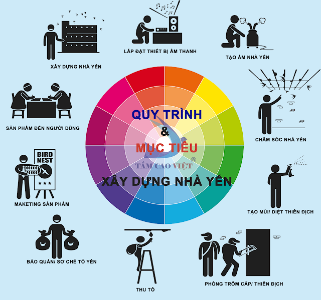 Quy trình chăm sóc nhà nuôi yến Tầm Cao Việt