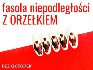 fasolki na święto niepodległości