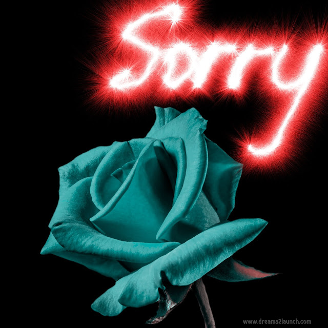 sorry quotes images