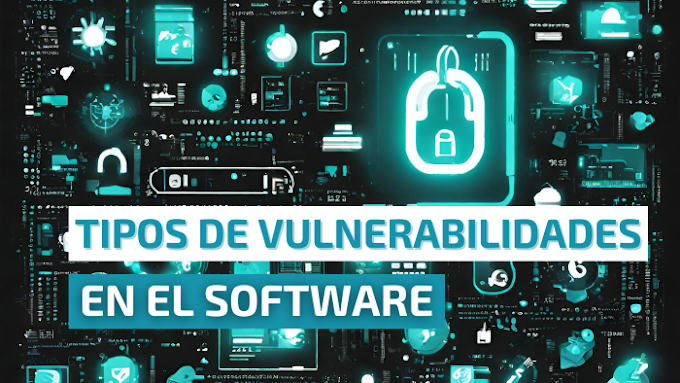 Tipos de vulnerabilidades en el software