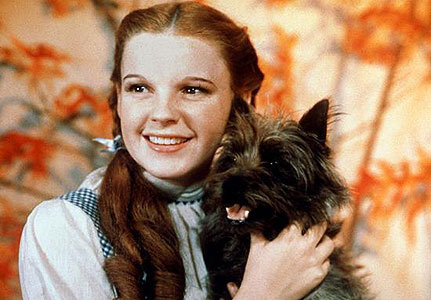 dorothy wizard of oz. of The Wizard of Oz.