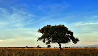 EKSOTISME TAMAN NASIONAL BALURAN