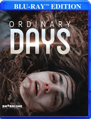 Ordinary Days 2017 Bluray