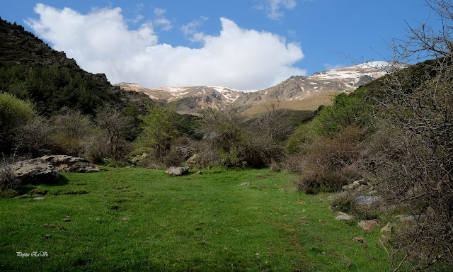 Jérez del Marquesado, Barranco el Alhorí, Sierra Nevada, Picón