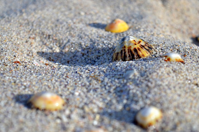 Playa de canexol. Arenal de las islas Ons.   