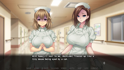 Nope Nope Nope Nurses Game Screenshot 5