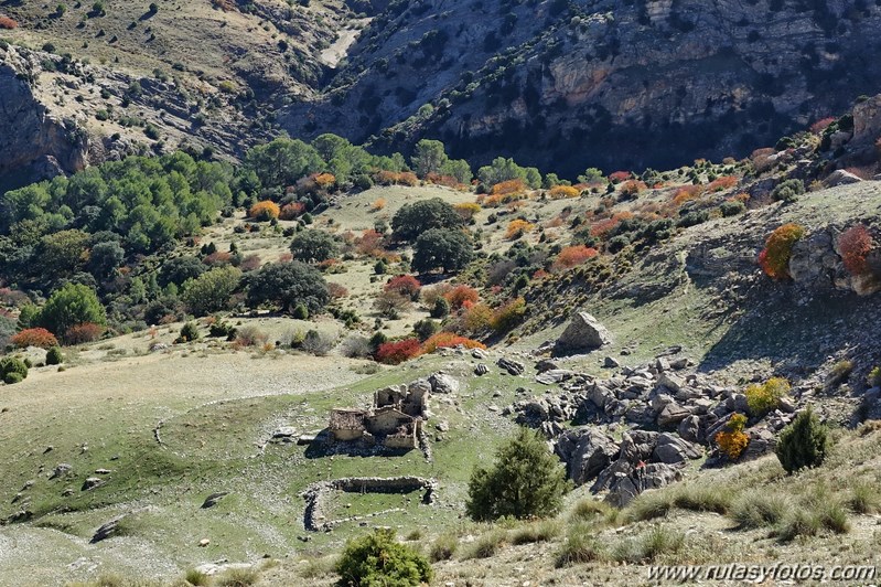 Cornicabral del Valle de Lifa