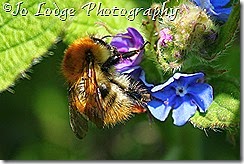 IMG_0841