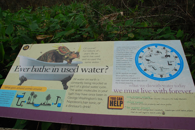 Audubon Corkscrew Swamp Sanctuary