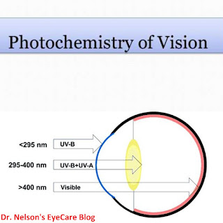photochemistry of vision