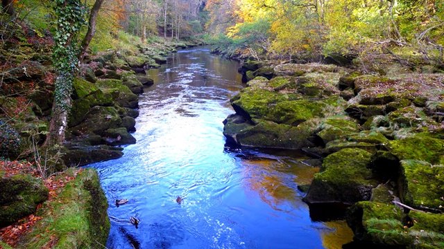 Bolton Strid, Sungai Indah Yang Bisa 'Telan Manusia'