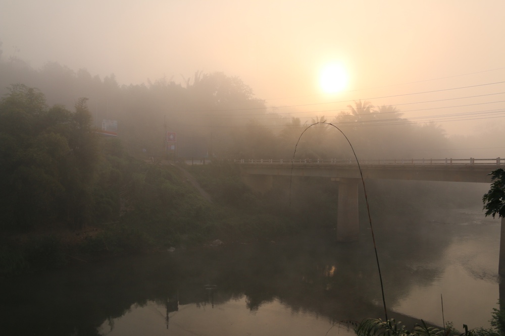 Misty morning