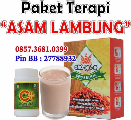  Membangun Hidup Sehat Secara Alami Obat Herbal ASAM 