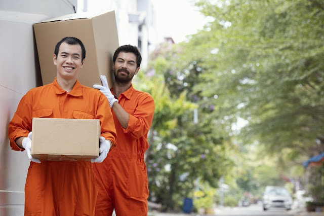 Professional Furniture Movers