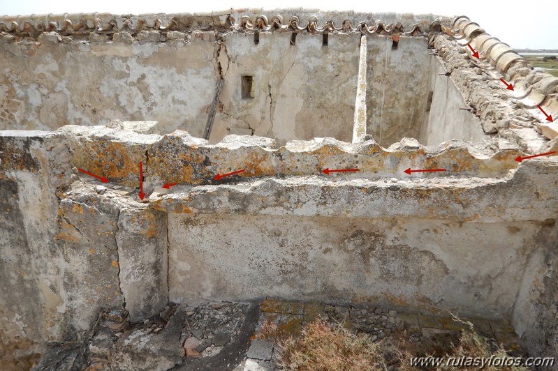 La Magdalena - Caño del Carrascón - Gallineras - Caño de Sancti Petri