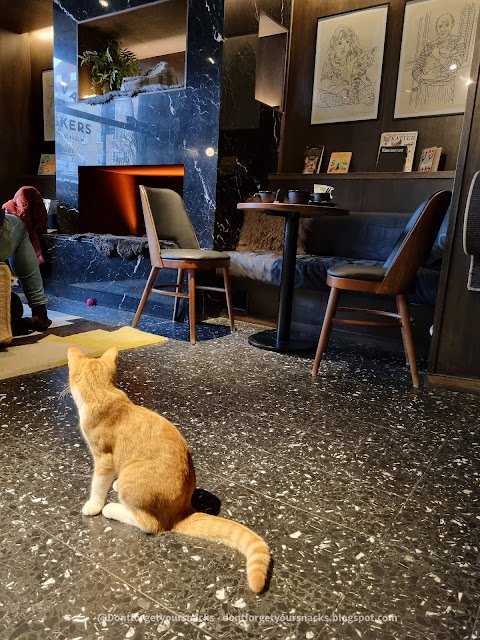 Java Whiskers Cat Cafe