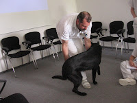 The teacher pushes her towards her right legs.