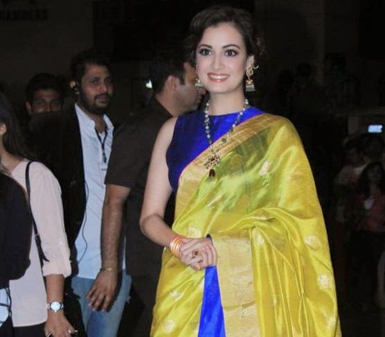 Dia Mirza in Saree at 60th Britannia Filmfare Awards 2015