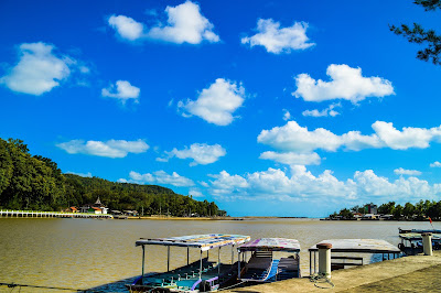 Menjelajahi Hutan Mangrove Kebumen